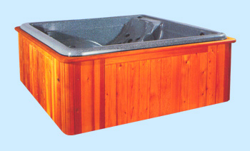 Mountain Springs Spas